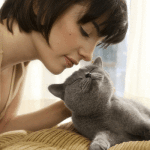 sheba.content.Par.0003.Image2.gif_667235937